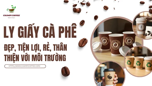 Ly giấy cà phê đẹp, tiện lợi, giá rẻ, thân thiện với môi trường